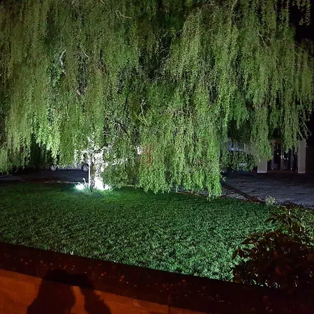 Guest house The Big Tree And Self Catering