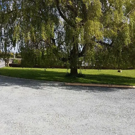 The Big Tree And Self Catering