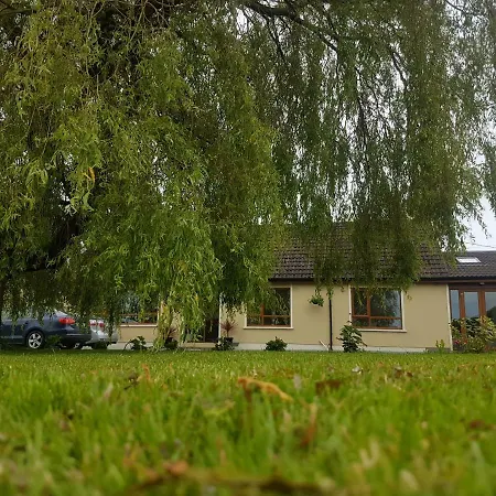 The Big Tree And Self Catering Guest house Gorey