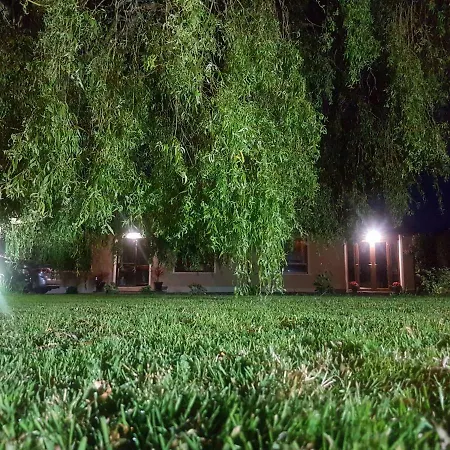 The Big Tree And Self Catering