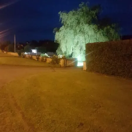The Big Tree And Self Catering
