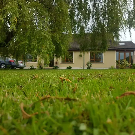 The Big Tree And Self Catering Guest house Gorey
